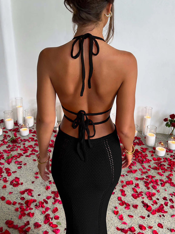 Vacation Style Sexy Halter Strapless Hollow Out Tie Dress